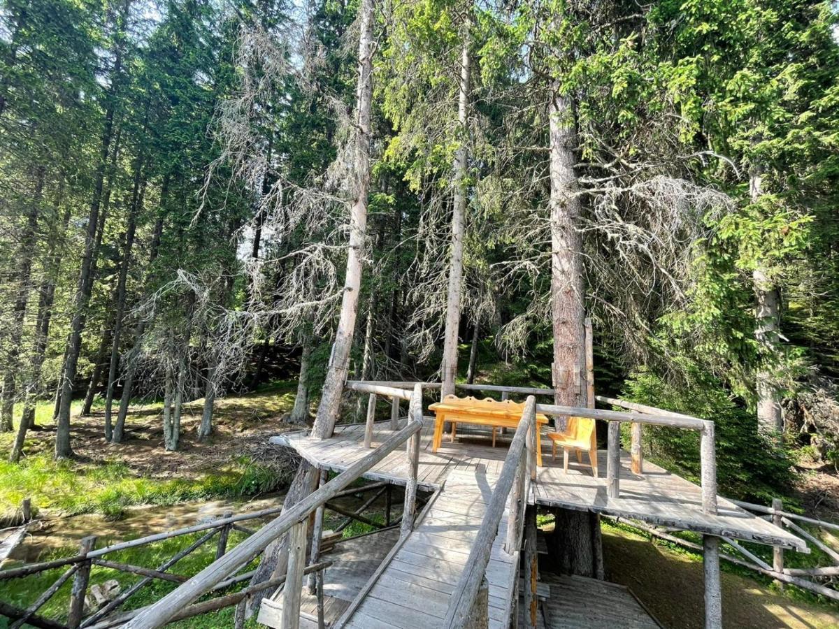 Willa Mounthoff Retreat Moroeni Zewnętrze zdjęcie