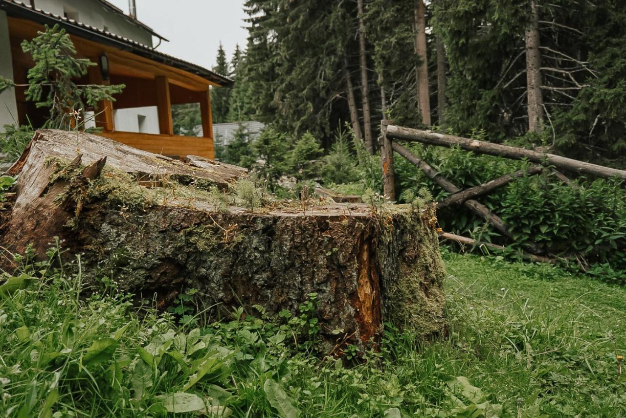 Willa Mounthoff Retreat Moroeni Zewnętrze zdjęcie