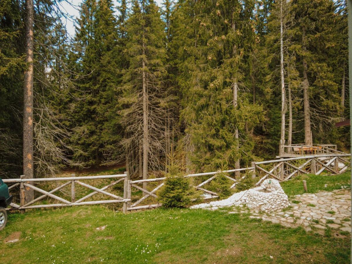 Willa Mounthoff Retreat Moroeni Zewnętrze zdjęcie