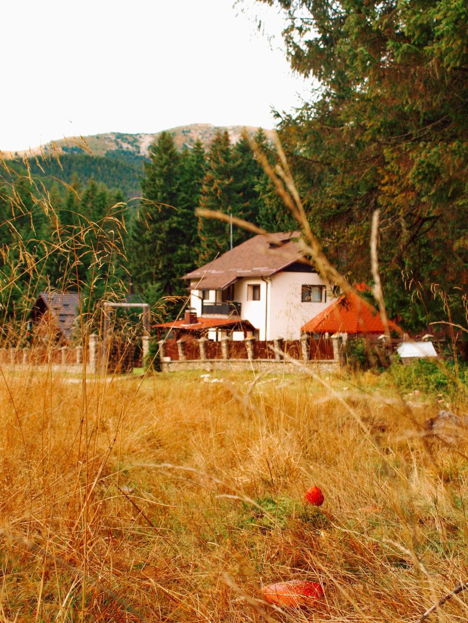 Willa Mounthoff Retreat Moroeni Zewnętrze zdjęcie